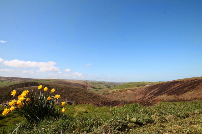 Tarr Steps Ancient Bridge & Nature Reserve The Best of Exmoor Blog