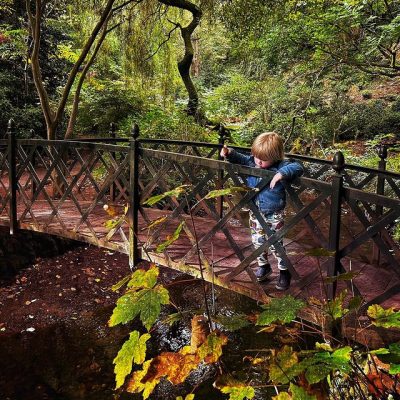 Exploring at Dunster Castle - credit: chrismeredith76