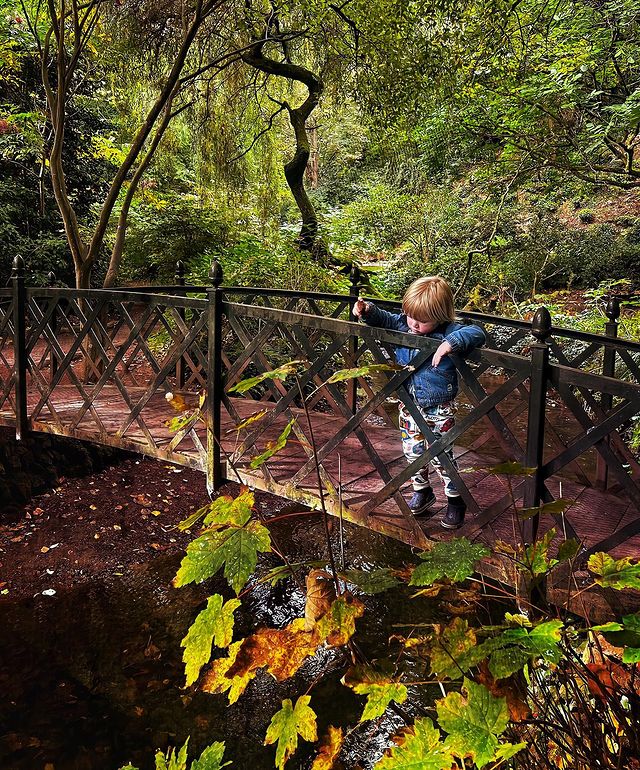 Cute kid playing on Bridge in Dunster Castle grounds
