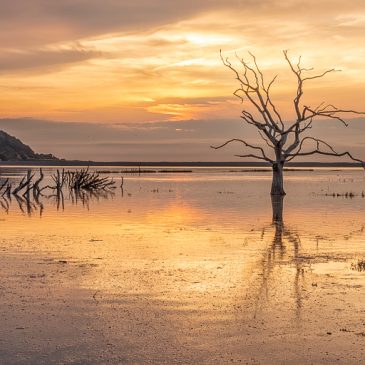 Circular Walk | Porlock Weir to Porlock | 4 Mile loop