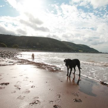 Exmoor Beaches | An Overview