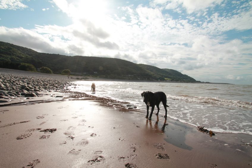 Exmoor Beaches | An Overview