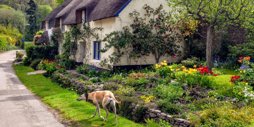 Exmoor cottages