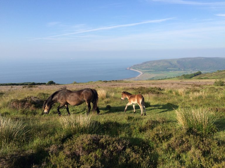 Our Top 10 Things To Do on Exmoor The Best of Exmoor Blog