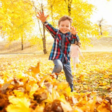 October Half-Term Cottages