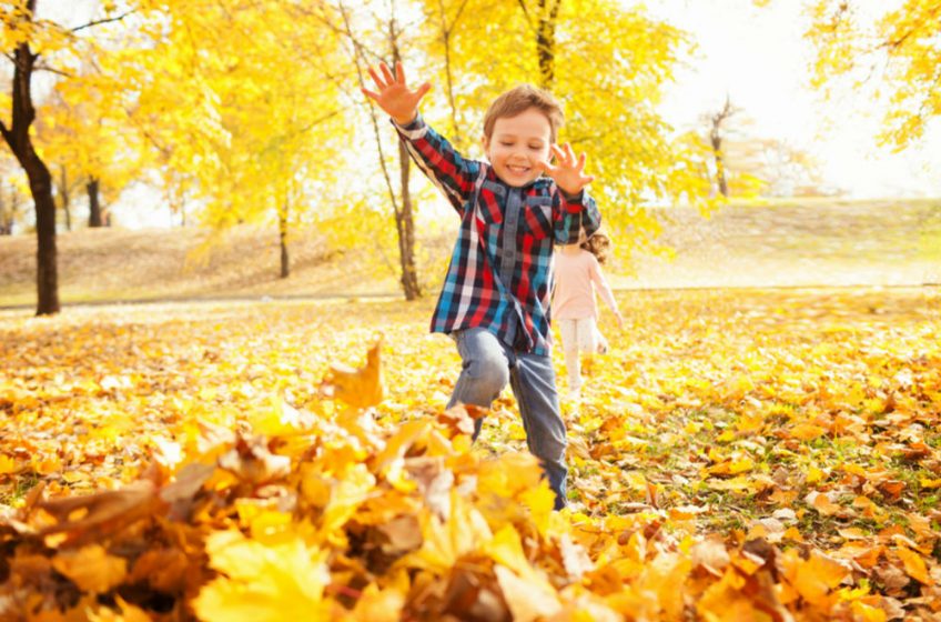 October Half-Term Cottages