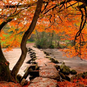 tarr steps