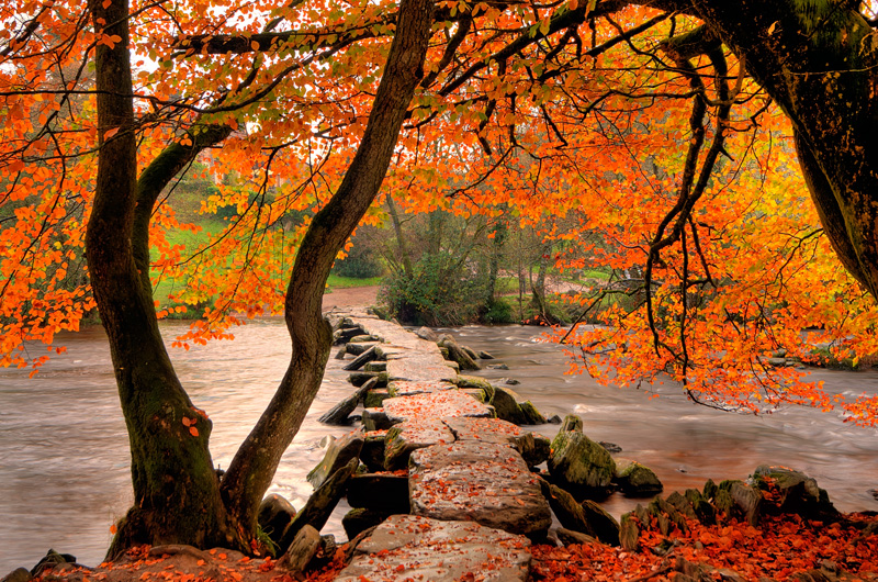 tarr steps