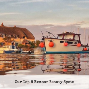 Our Top 8 Exmoor Beauty Spots