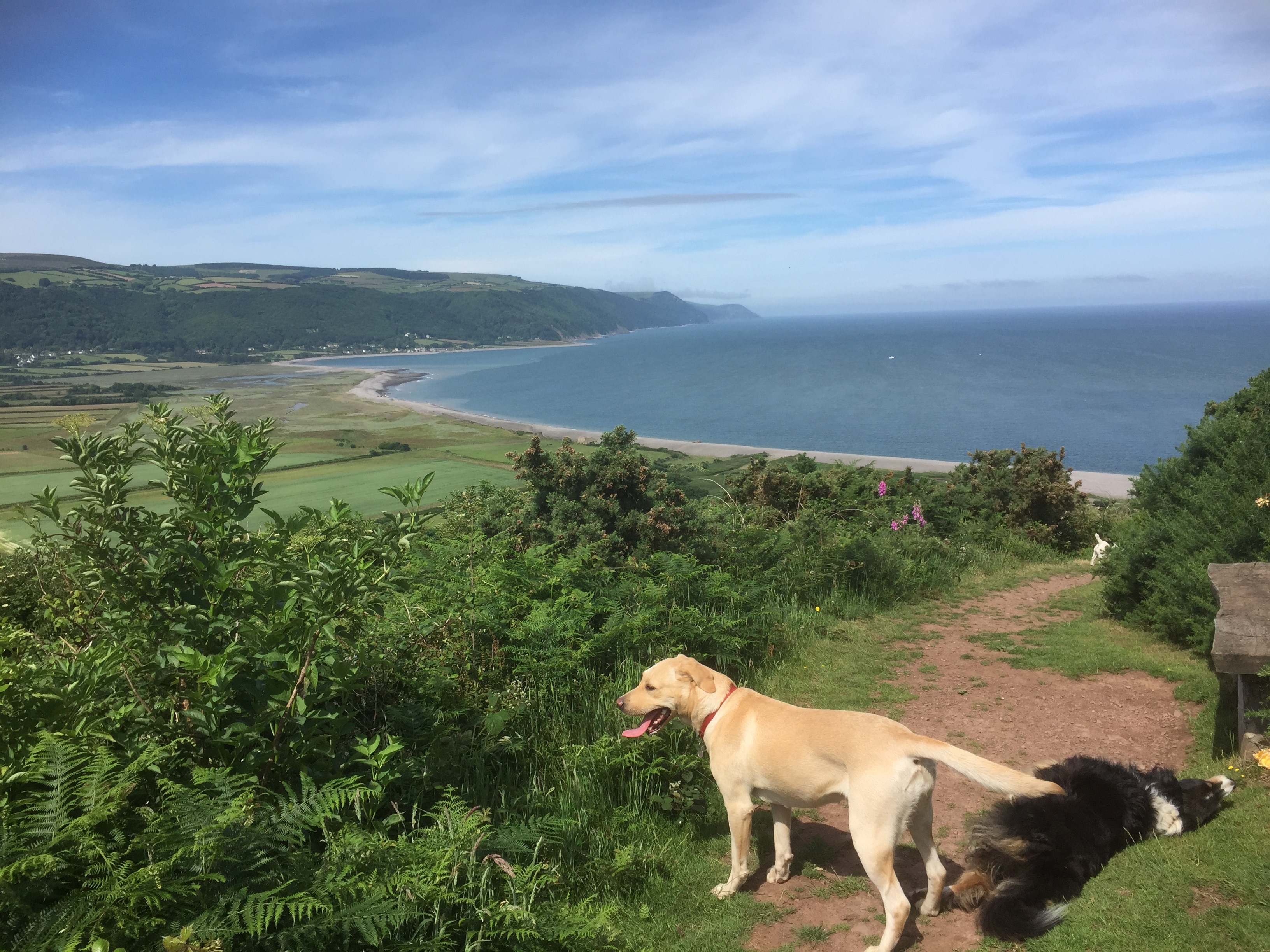 October HalfTerm Holiday Cottages Exmoor The Best of