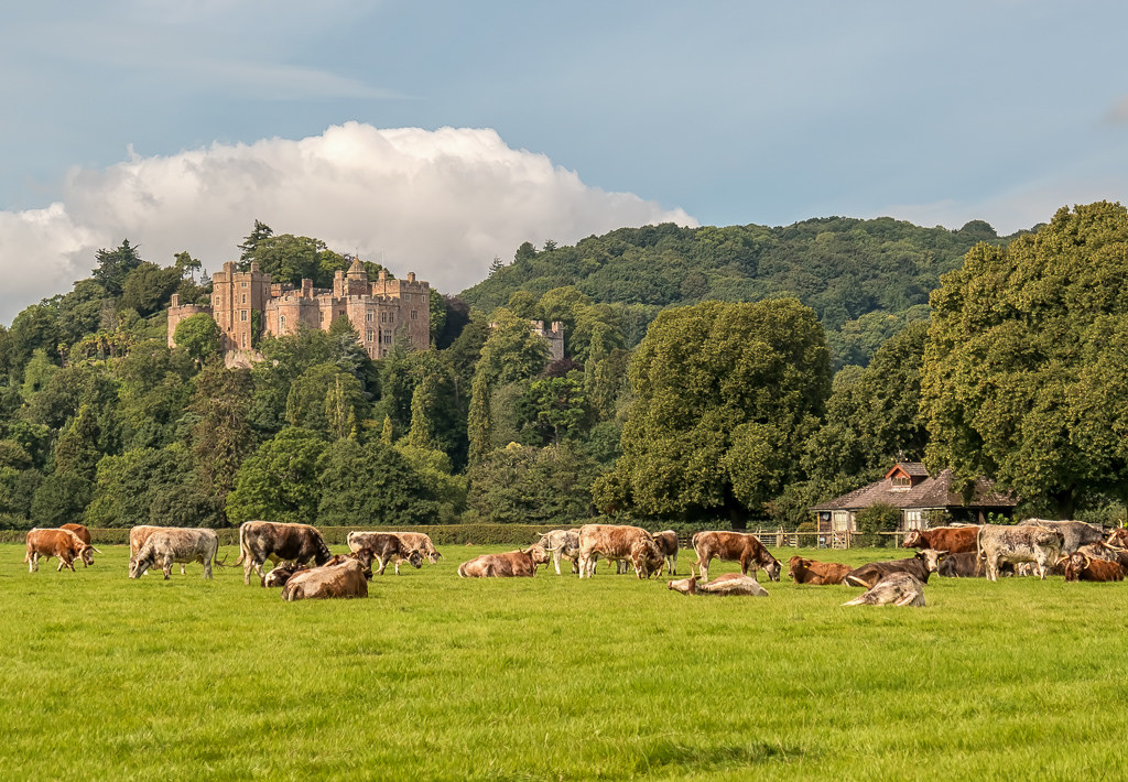 dunster village guide
