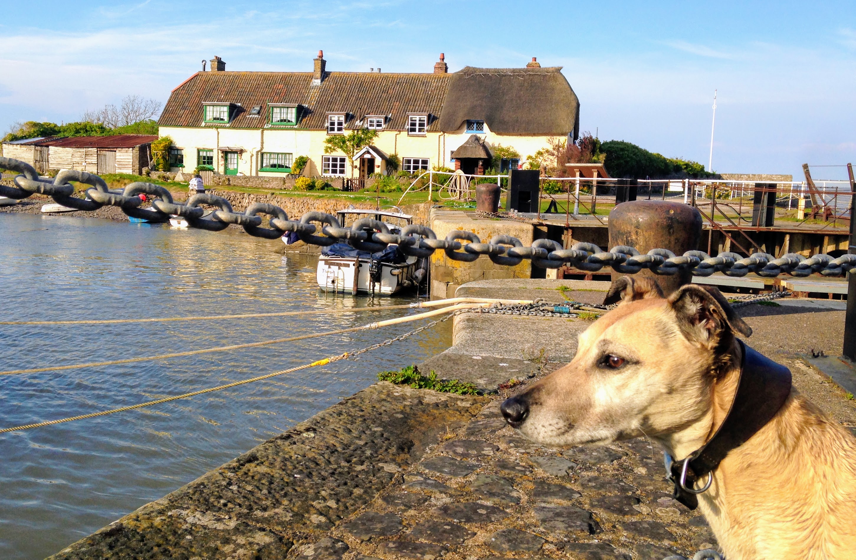 Dog Friendly Cottages on Exmoor 