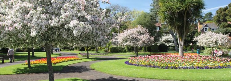 Blenheim Gardens, Minehead