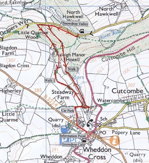 Snowdrop Valley Short Walk