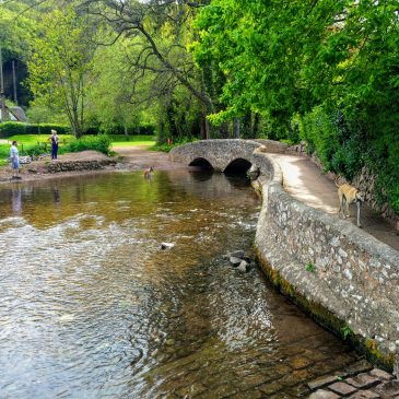 Circular Walk | Dunster | 2 Hour Walk