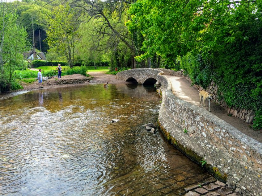 Circular Walk | Dunster | 2 Hour Walk