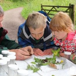 Family day out on Exmoor