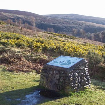 Circular Walk | Dunkery & Horner Wood Exmoor | 1 hour