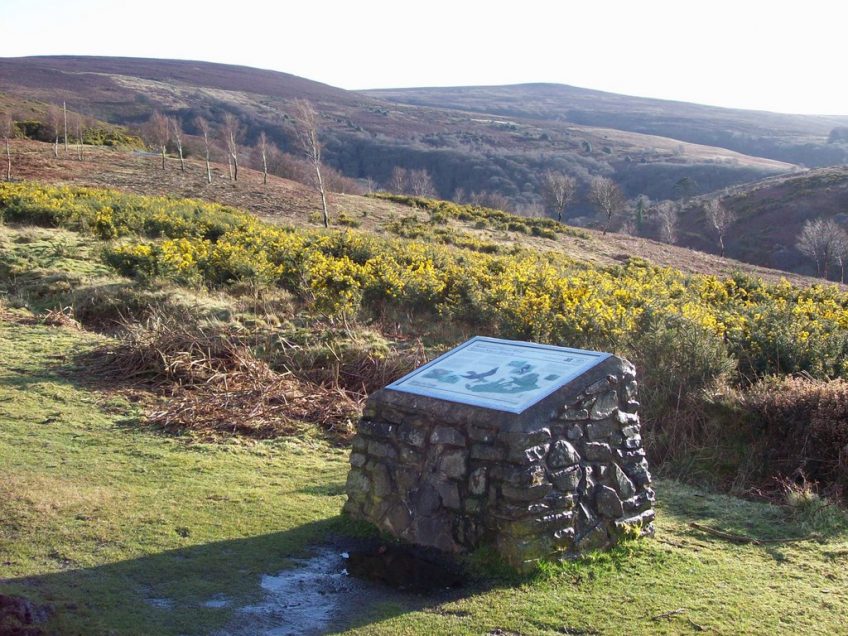 Circular Walk | Dunkery & Horner Wood Exmoor | 1 hour