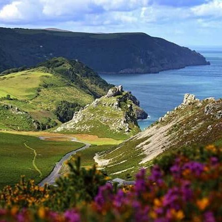 The Valley of the Rocks, Exmoor - on a sunny day with a view across flowers, the coastline and the sea