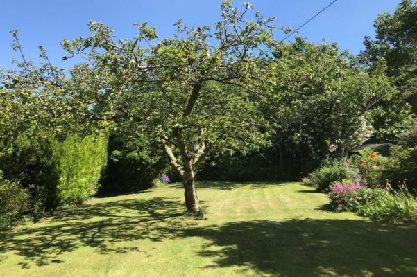 2 bedroom dog friendly cottage