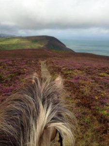 Exmoor Horse Riding