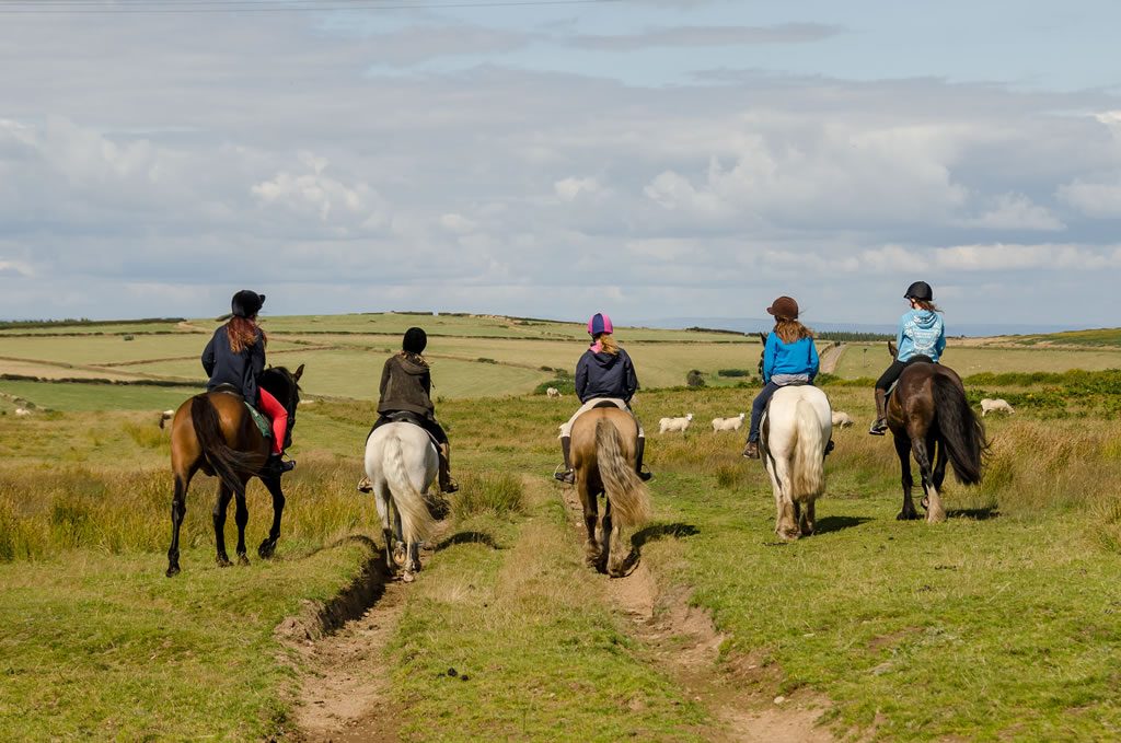 Horse riding on Exmoor