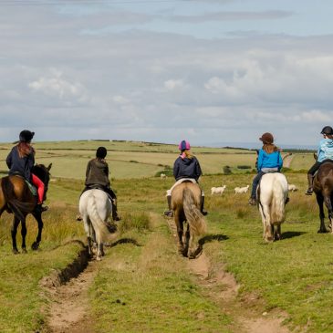 Horse Riding on Exmoor | Contact Info