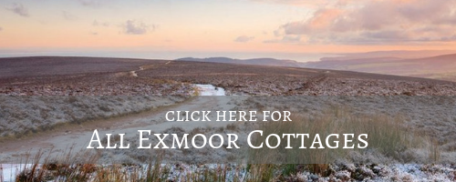 All exmoor christmas cottages