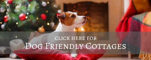 dog friendly christmas cottages