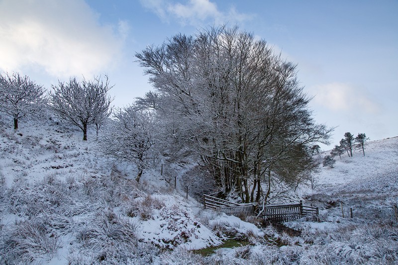 Quiet descends in December