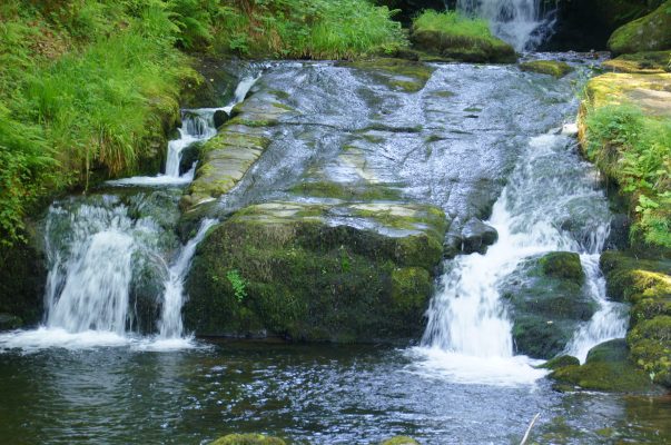 Walk along the Hoaroak River - Exmoor Christmas Things to Do