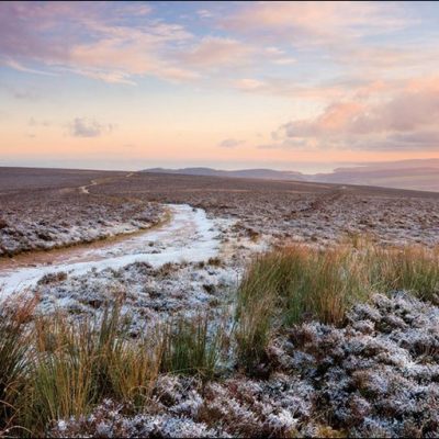 Pink skies and frosty heather