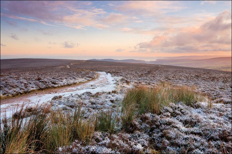 Pink skies and frosty heather