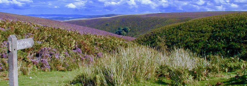 Top 10 Exmoor Walking Spots