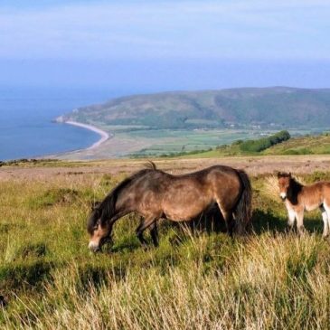 What is Exmoor Famous For?