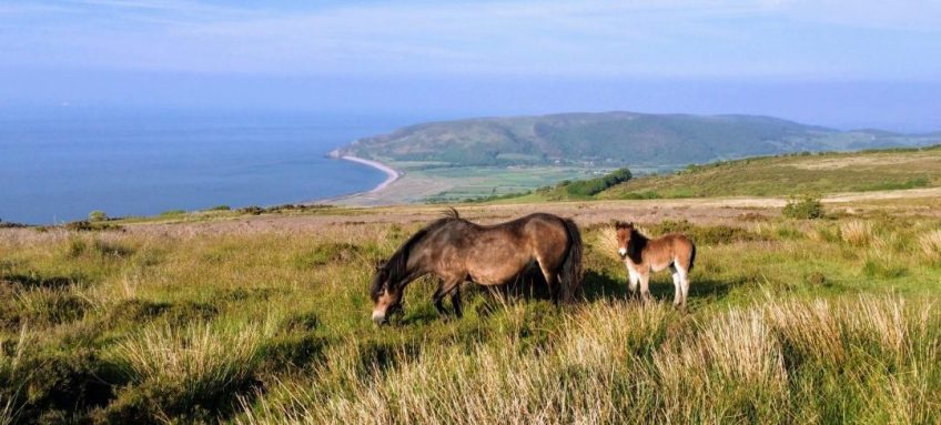 What is Exmoor Famous For?