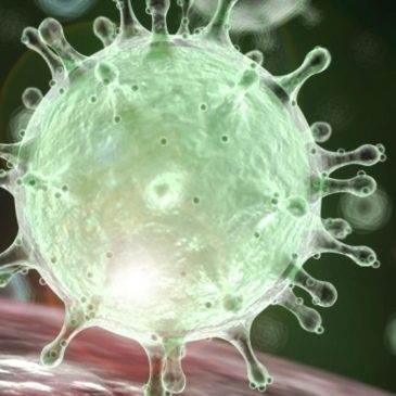 Coronavirus Crisis | Information for Guests