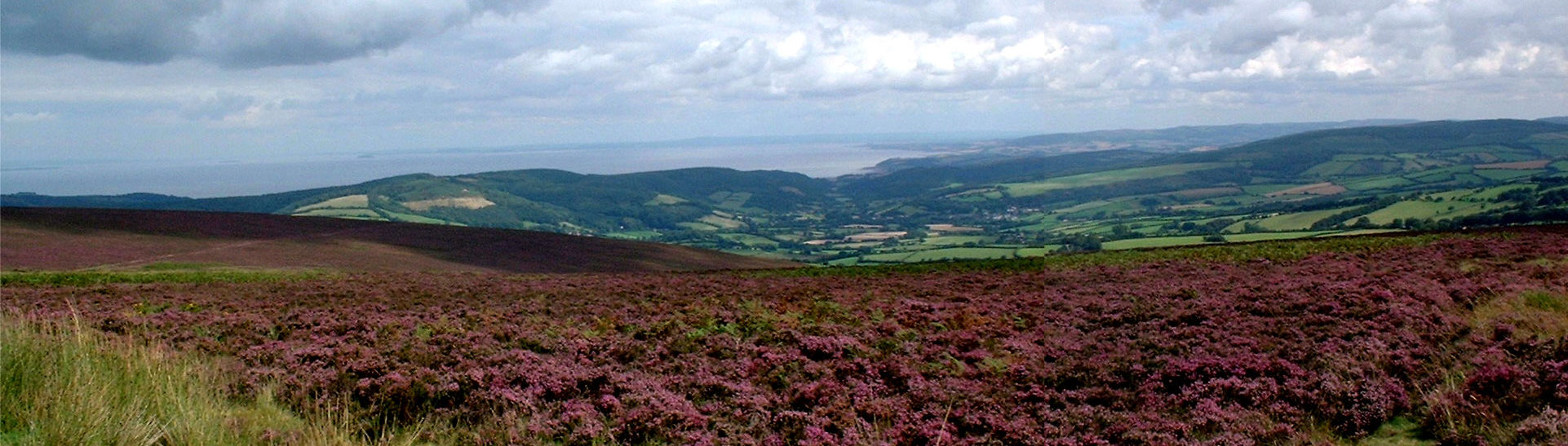 coronavirus (covid-19) information for guests of The Best of Exmoor 