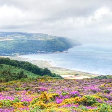 Top 10 Places to Stay in Exmoor National Park