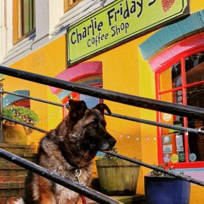 Charlie Fridays - dog friendly!