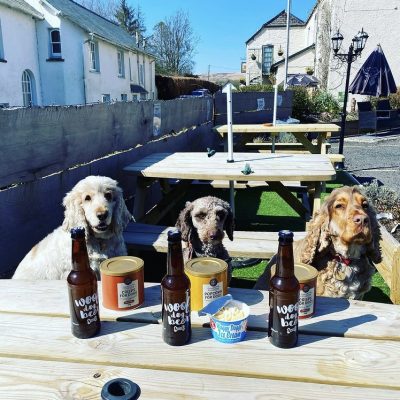 Dogs & dog beer