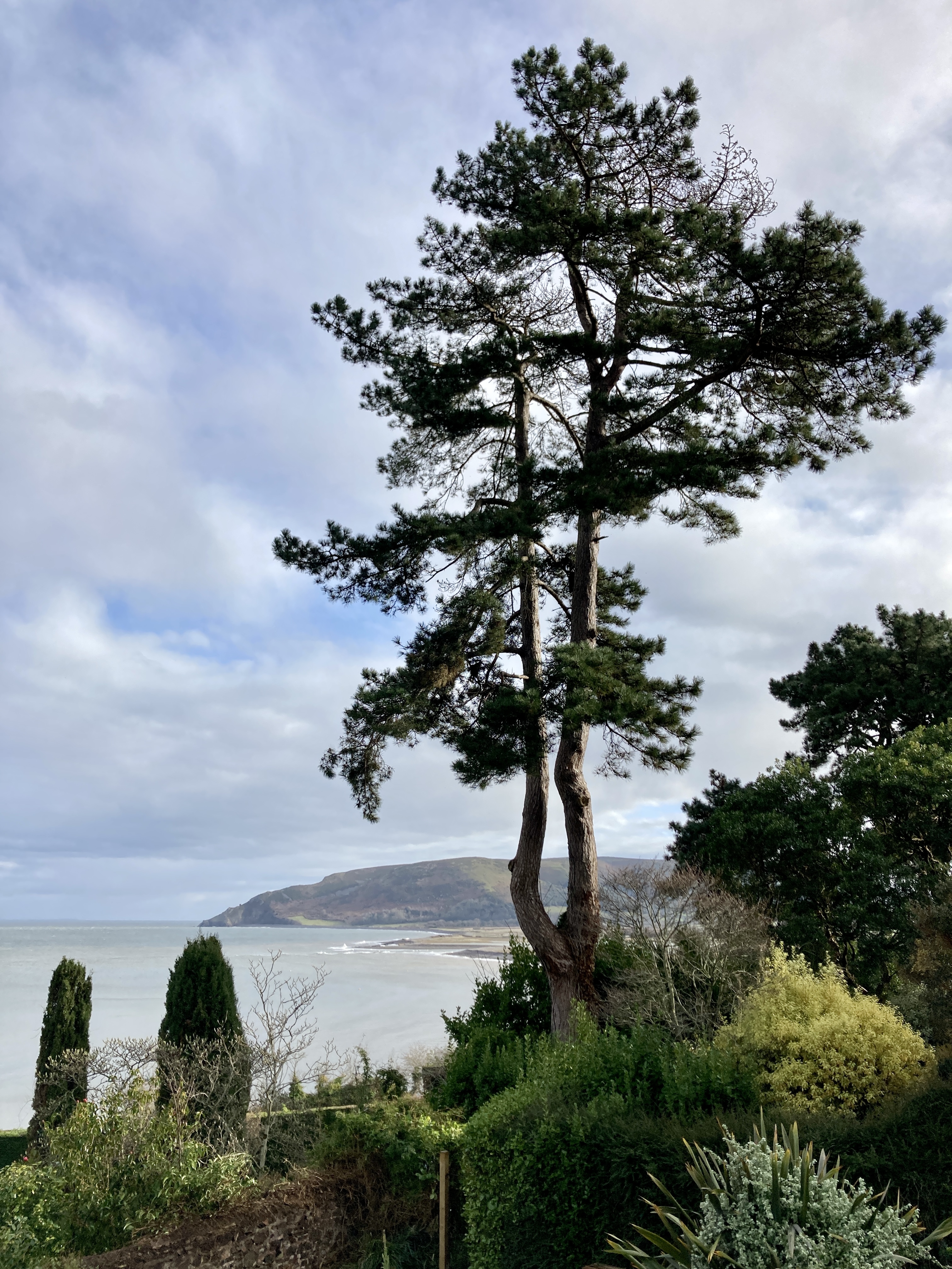 View of Porlock Beach from The Coach House