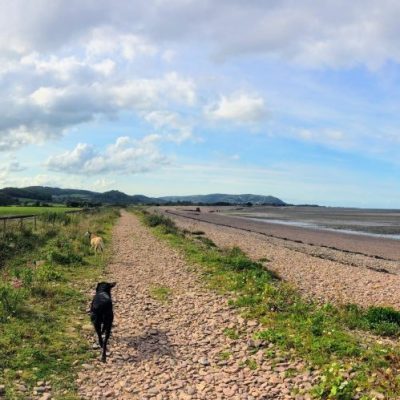 Footpath at Blue Anchor beach