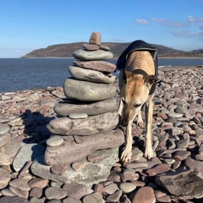 Porlock Weir beach with dog