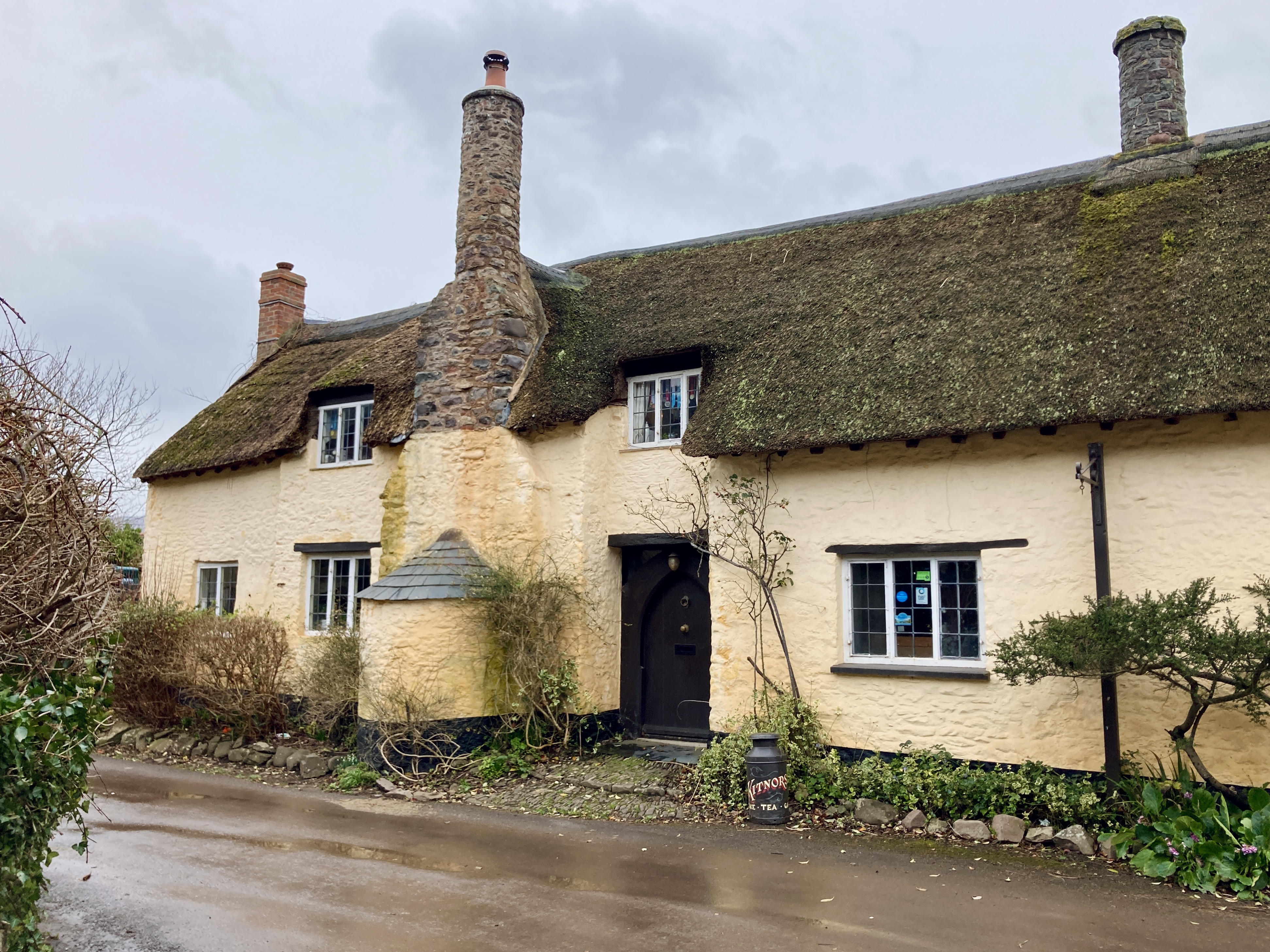 A yellow painted stone house with thatched roof on a grey and wet day in Bossington still sweet as ever