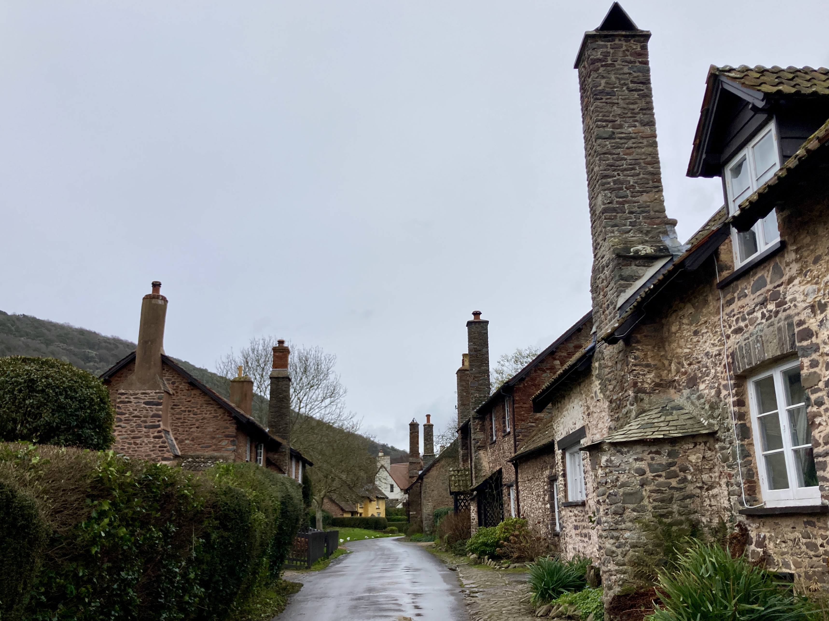 A picture of the road through Bossington with cute stone houses on either side and a yellow house in the distance and green hedges