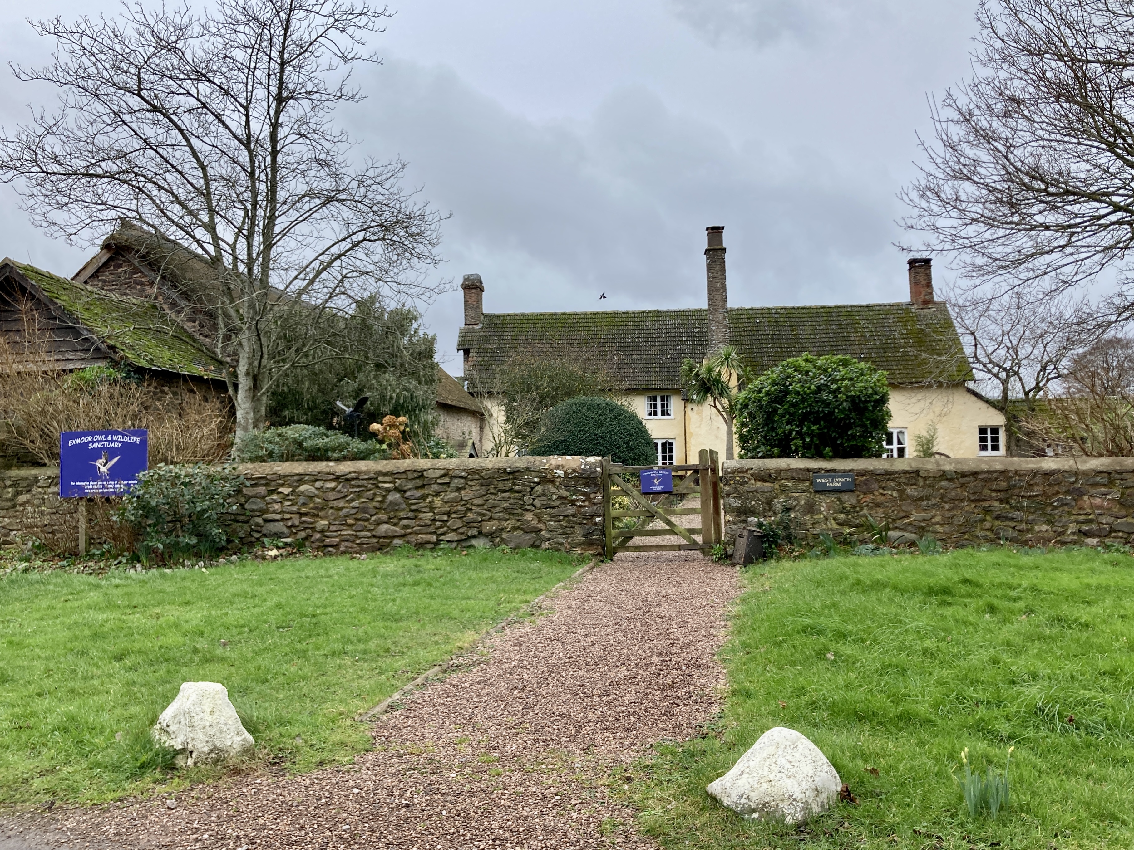 Exmoor Owl & Wildlife Sanctuary Allerford yellow house with stone walls and wooden gate and gravel driveway