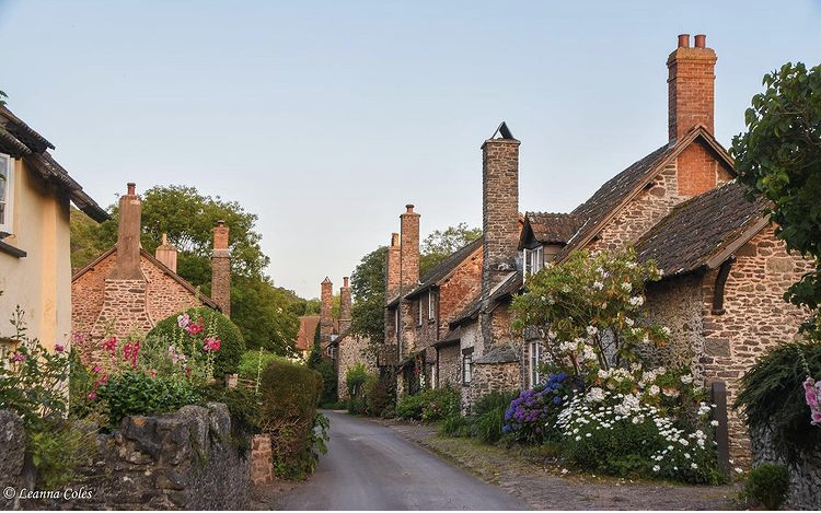 A picture of a Bossington Street with sweet colourful flowers in bloom on bushes and in flowerbeds and chimneys catching the evening sunlight