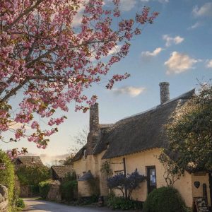 A street in the village of Bossington with a yellow painted stone house with thatched roof, blue skies and light white clouds and a pink blossom tree in flower in the foreground